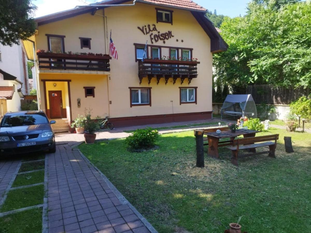 Villa Foisor Szászbuda Kültér fotó