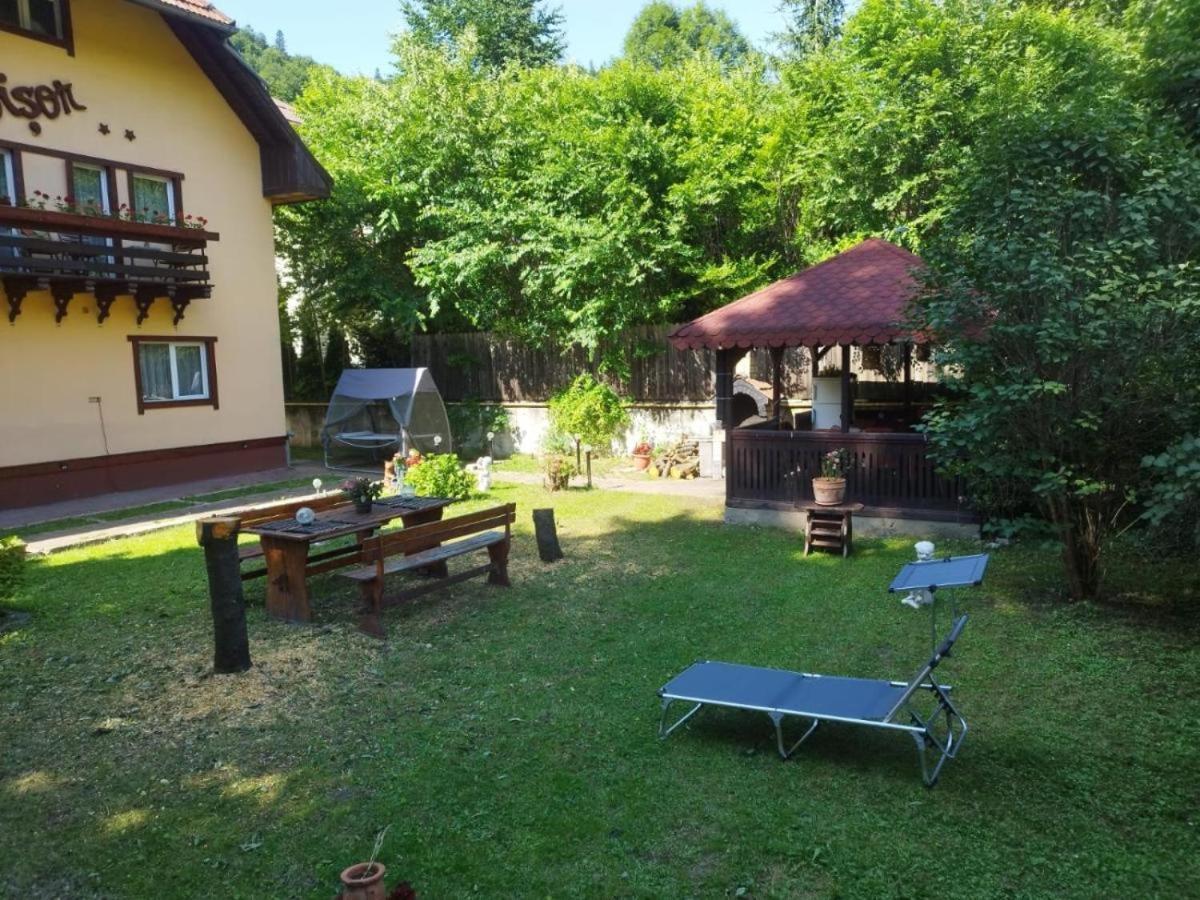 Villa Foisor Szászbuda Kültér fotó